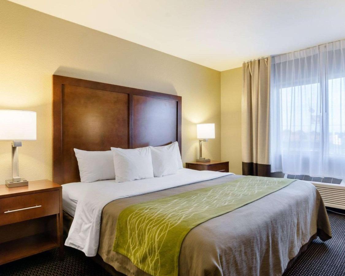 Comfort Inn Garden City Buitenkant foto